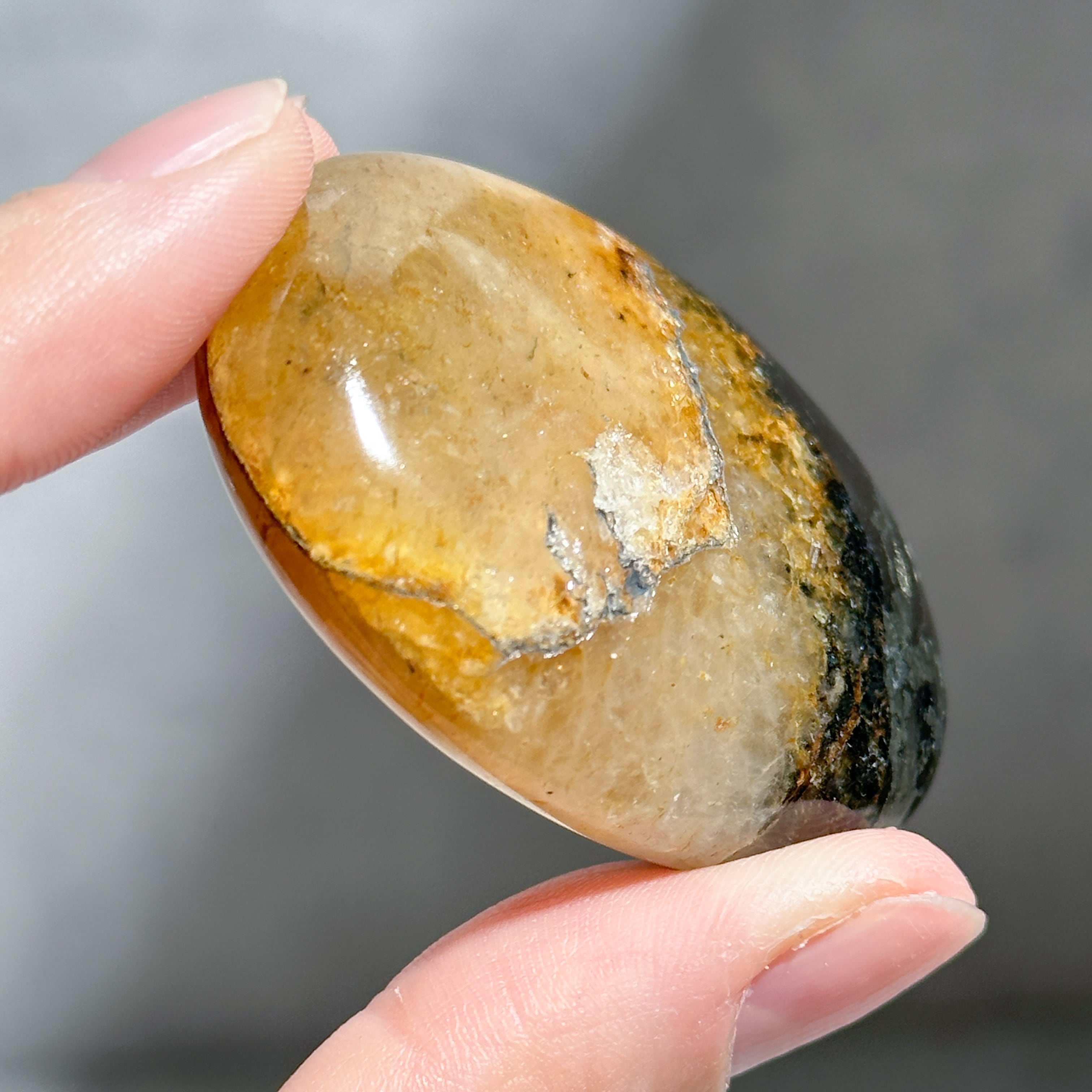 パイライト with クォーツ パーム31◇Pyrite with Quartz◇天然石