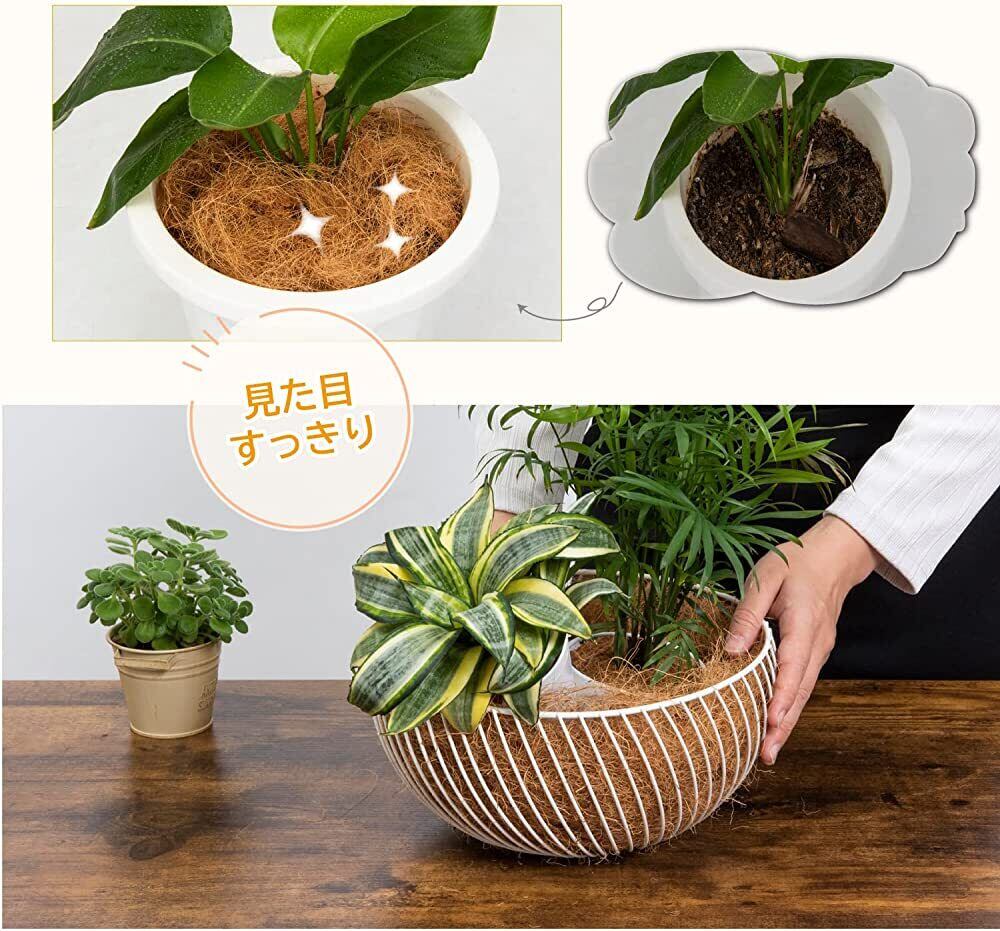 ココヤシファイバー(ナチュラル) 100g 香り H スプレー付 | CAgarden