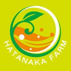 有田みかん「紀のゆらら」和歌山県オリジナル品種（YN26）【7.5kg】