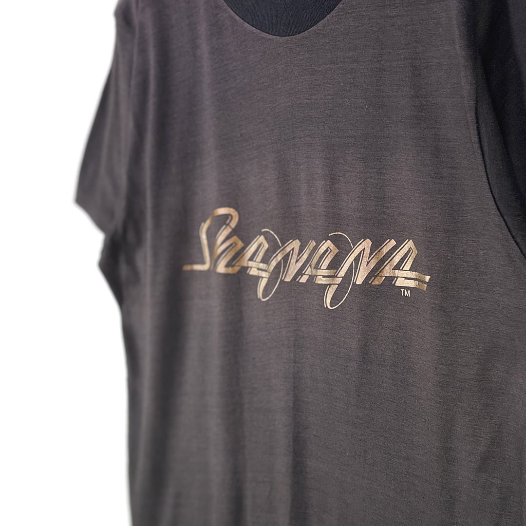 70s シャナナ ヴィンテージTシャツ バンドロゴ SHA NA NA サイズL相当