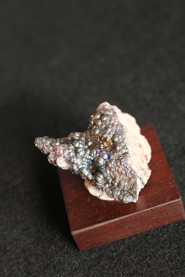 【5104】宮崎レインボー ローズウッドベース大