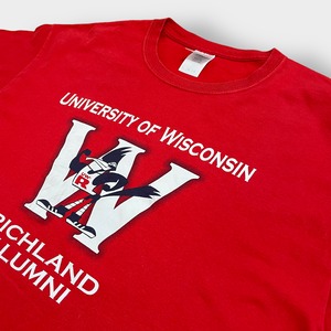 【GILDAN】カレッジ ウィスコンシン大学 Tシャツ カレッジロゴ プリント UNIVERSITY OF WISCONSIN 赤 LARGE 半袖 夏物 US古着