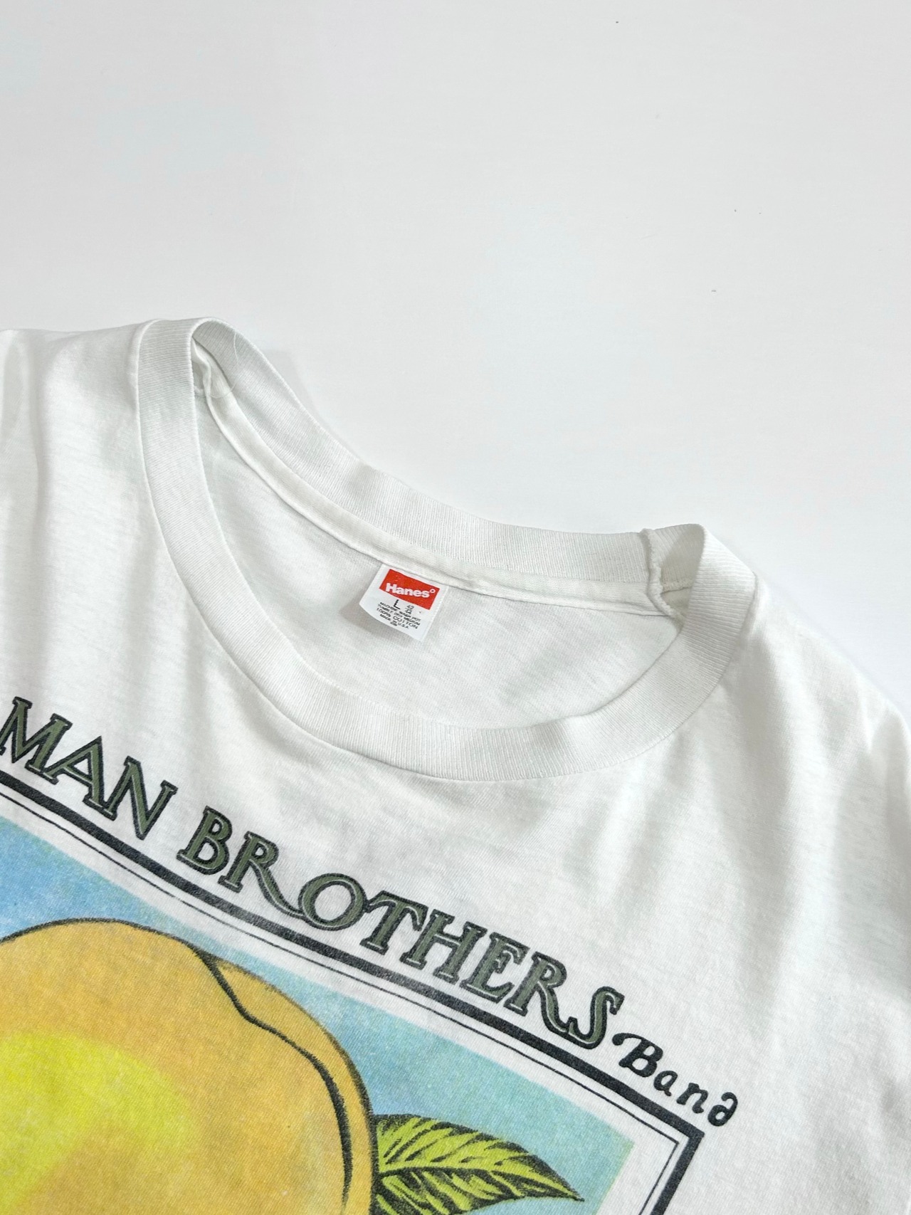 80s ALLMAN BROTHERS "Twentieth Anniversary TOUR" Tee MADE IN USA Size L