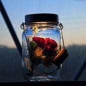 【クリスマスギフト】sonnenglas ローズアレンジ1