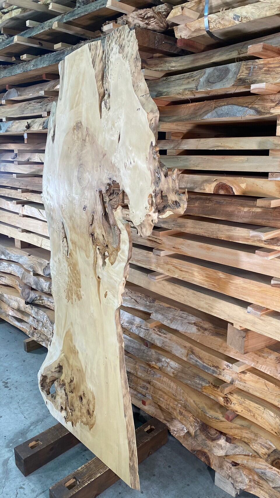 銀杏 02 一枚板 両面フラット加工済！ 棚板 カウンター レジン 瘤