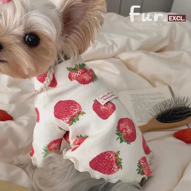 【お取り寄せ商品】strawberry柄 pet wear