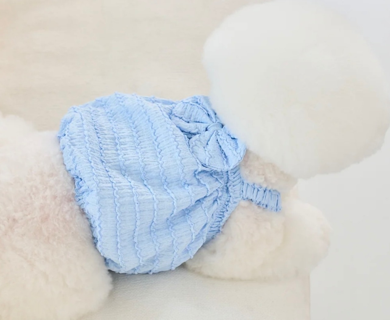 即納【BENNYS】 MISTY CROP TOP (SKYBLUE)