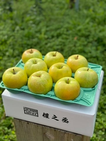 青りんご王林家庭用　3㎏