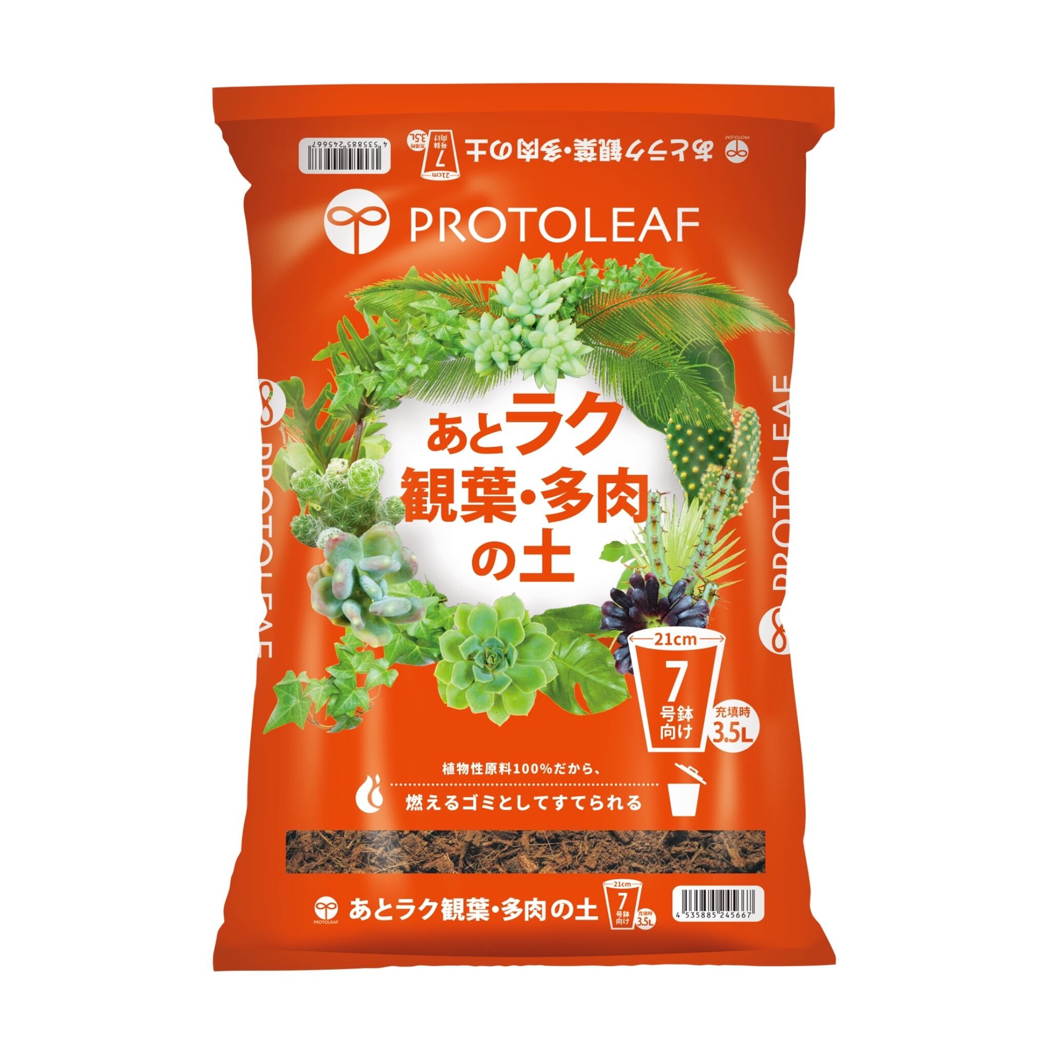 植物の奴隷　月曜日発送様 リクエスト 5点 まとめ商品 火山の贈り物 ミニ観葉植物『松びっくり』 溶岩土台松ぼっくり苔植物