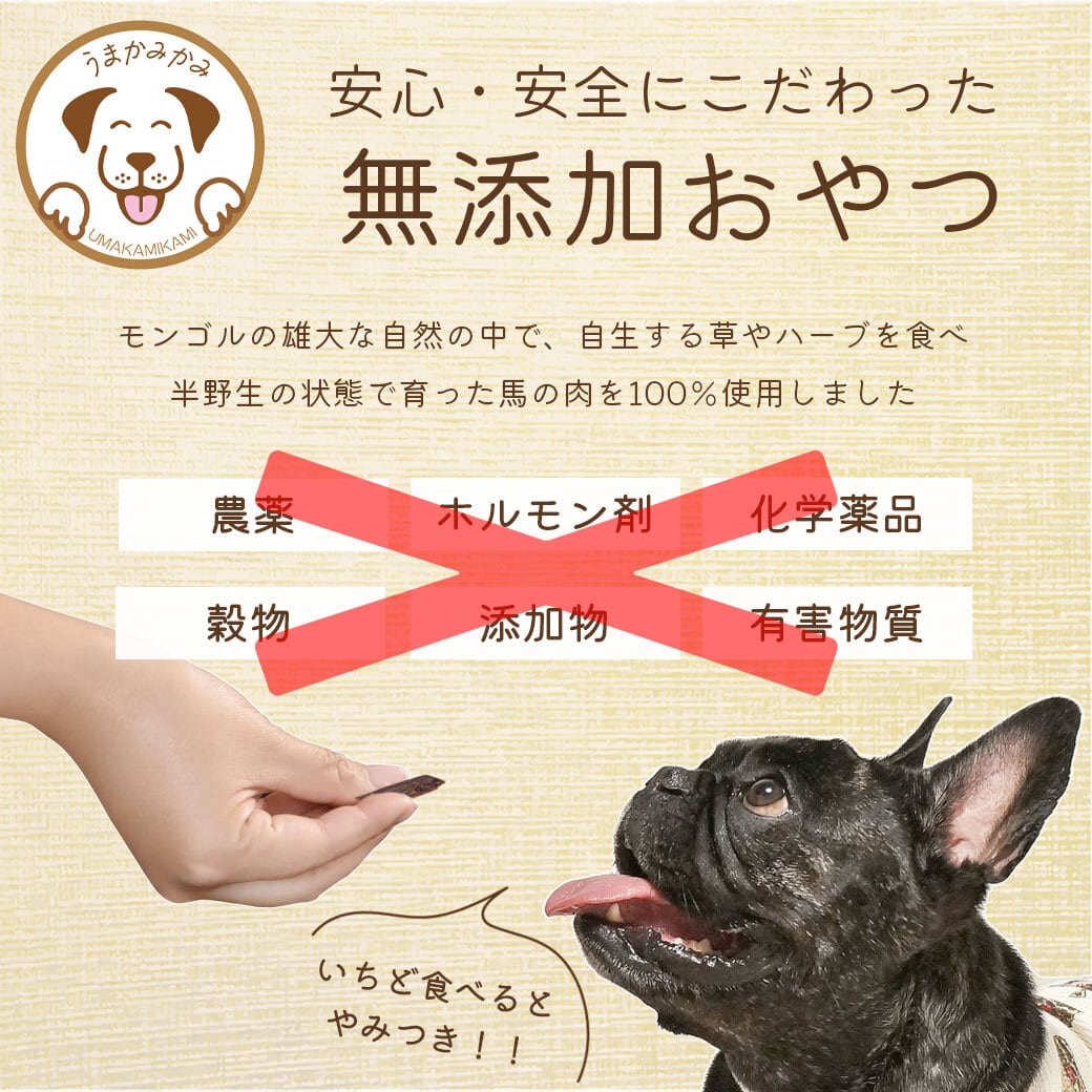 七夕価格】馬アキレスジャーキーLサイズ 500g☆かむ〜ぶプレゼント付き