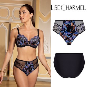 [M18ac] 深めショーツ 品番ACM0318 【LISE CHARMEL】【リズシャルメル】【インポートランジェリー】