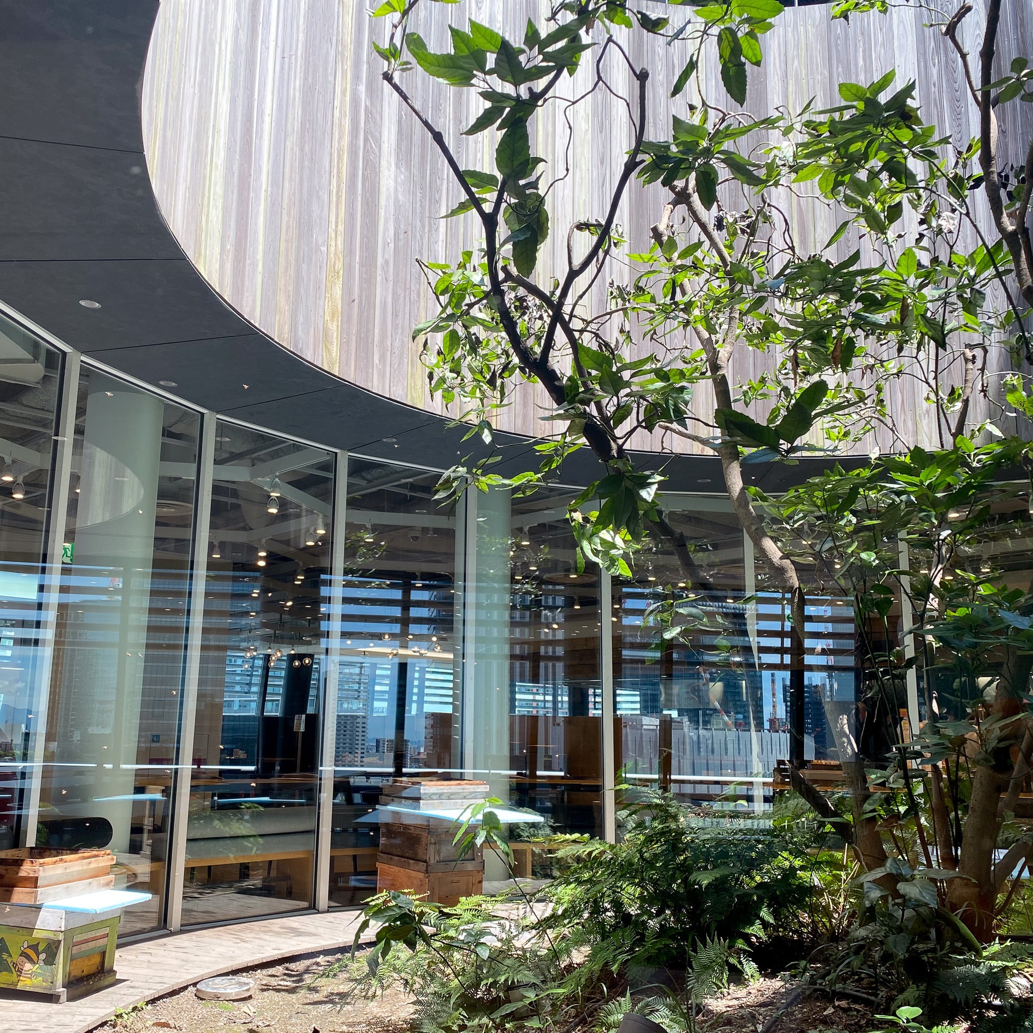 梅田ミツバチプロジェクト活動支援はちみつ1kg | OSAKAHONEY