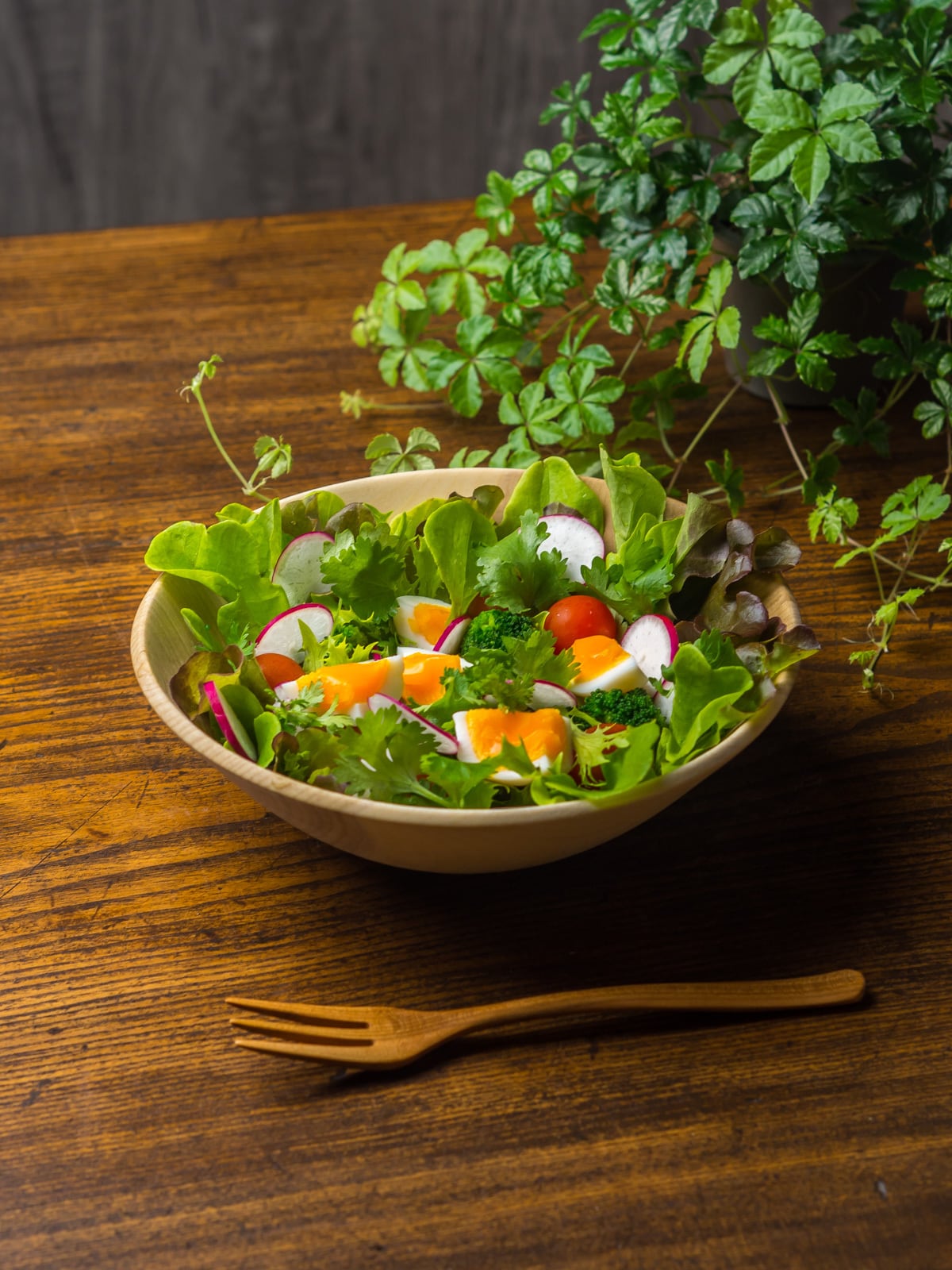 朴の木 ウッドボウル（サラダボウル・木製ボウル）／Canaria Wood