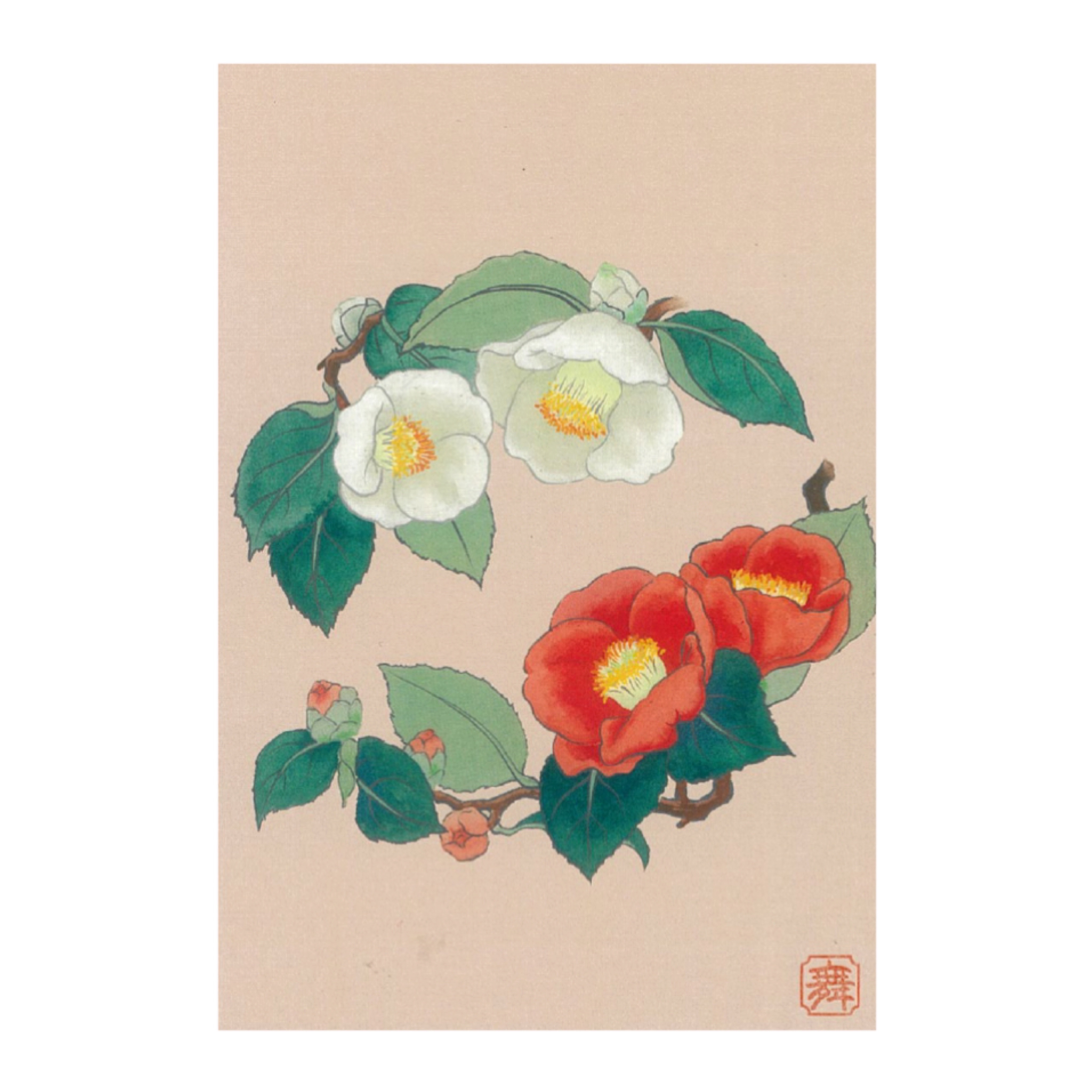 絵はがき　「つばき」