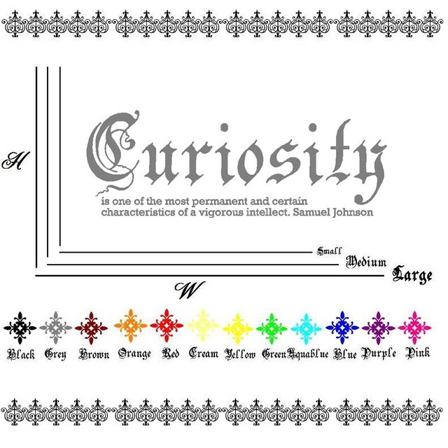 新生活応援 サミュエル ジョンソンの座右の銘 Wallsticker ウォールステッカー 英文字 おすすめ 猫 名言 シェイクスピア 怒る Interiorwall インテリアウォール