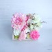 桜華 -ouka-