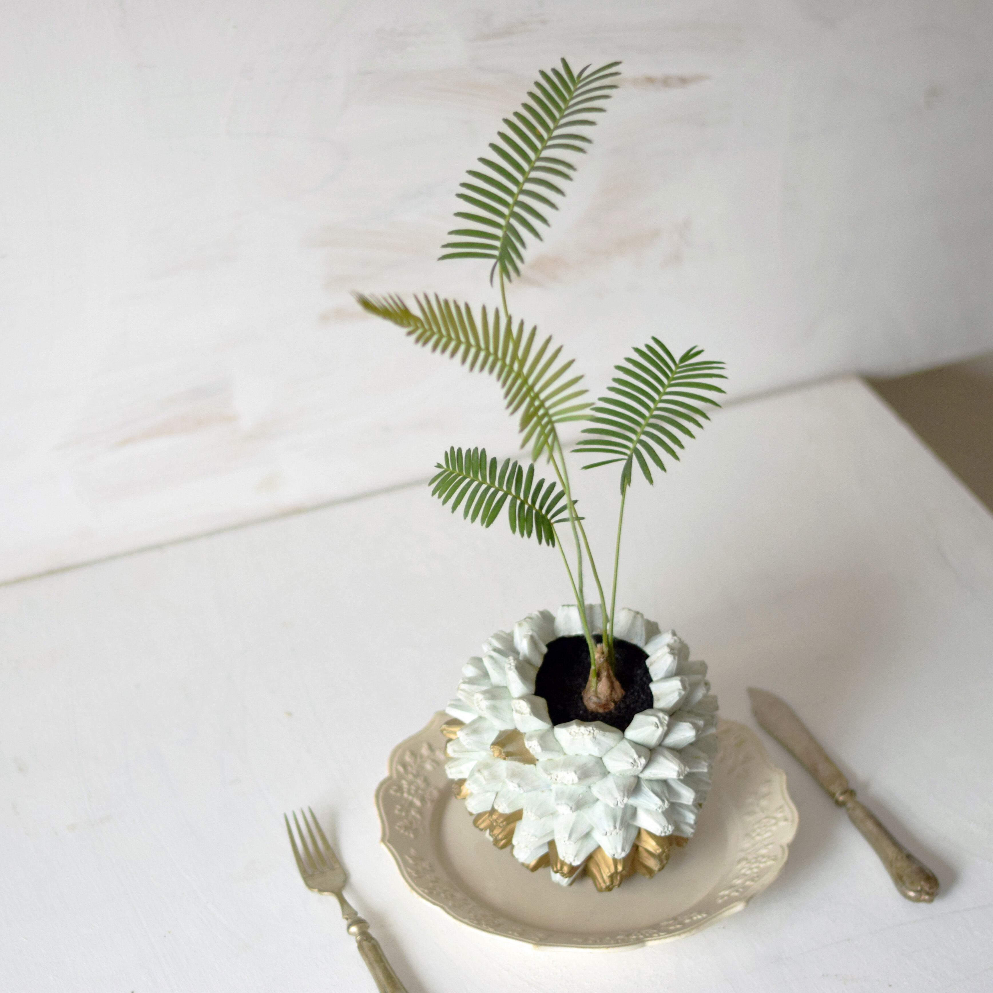 Natural instrument アダンの実（white）器のみ 【公式通販】