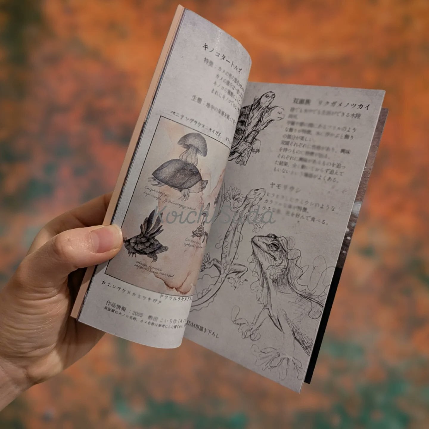 2025年11月個展画集「幻獣博士の手記」日本語版 | suda koichi shop