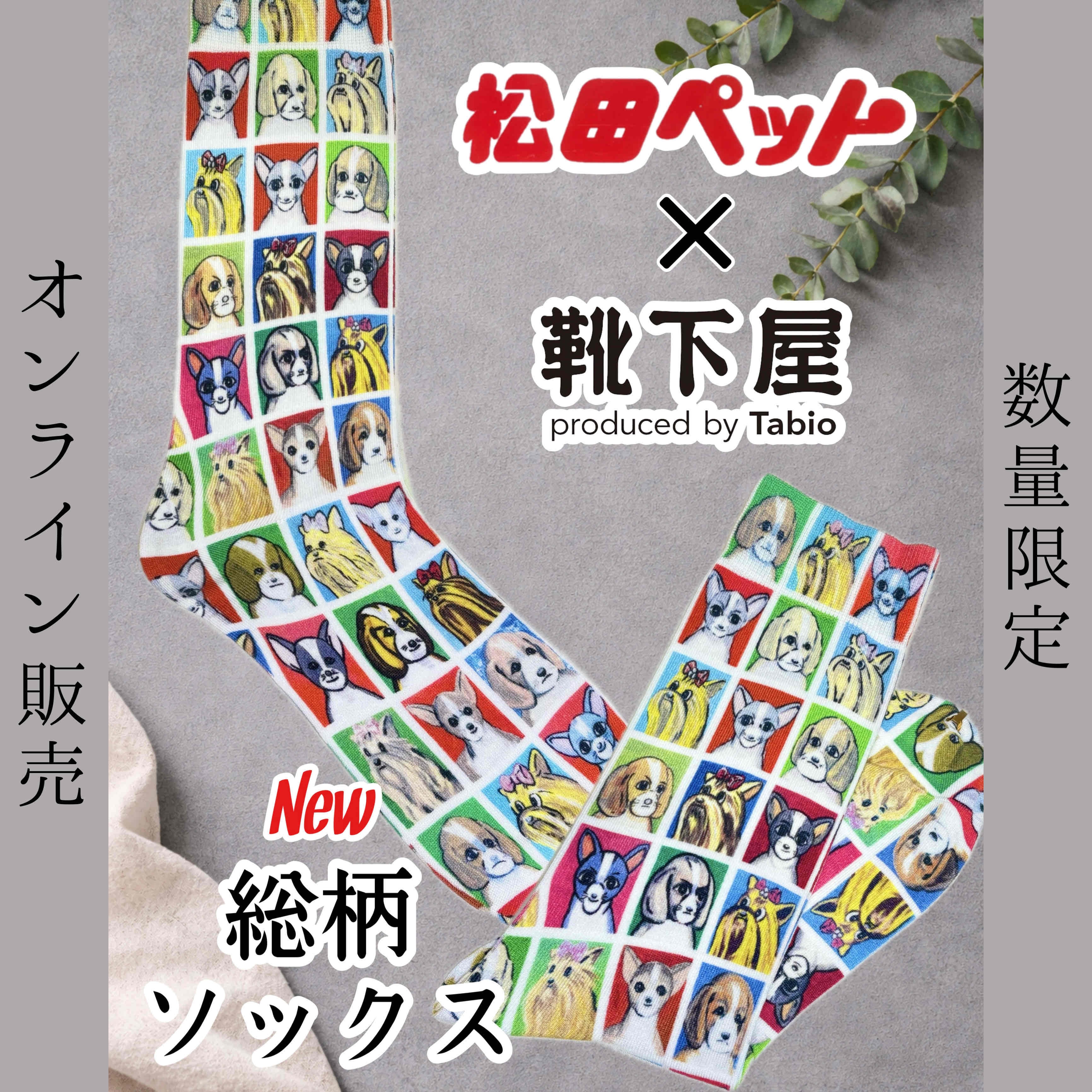 ALL ITEM | 松田ペット