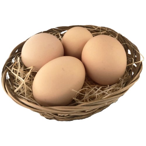 新鮮こだわり卵　国産鶏　農業生産法人　名古屋コーチンたまご10個パック×2　ビッグヤード株式会社