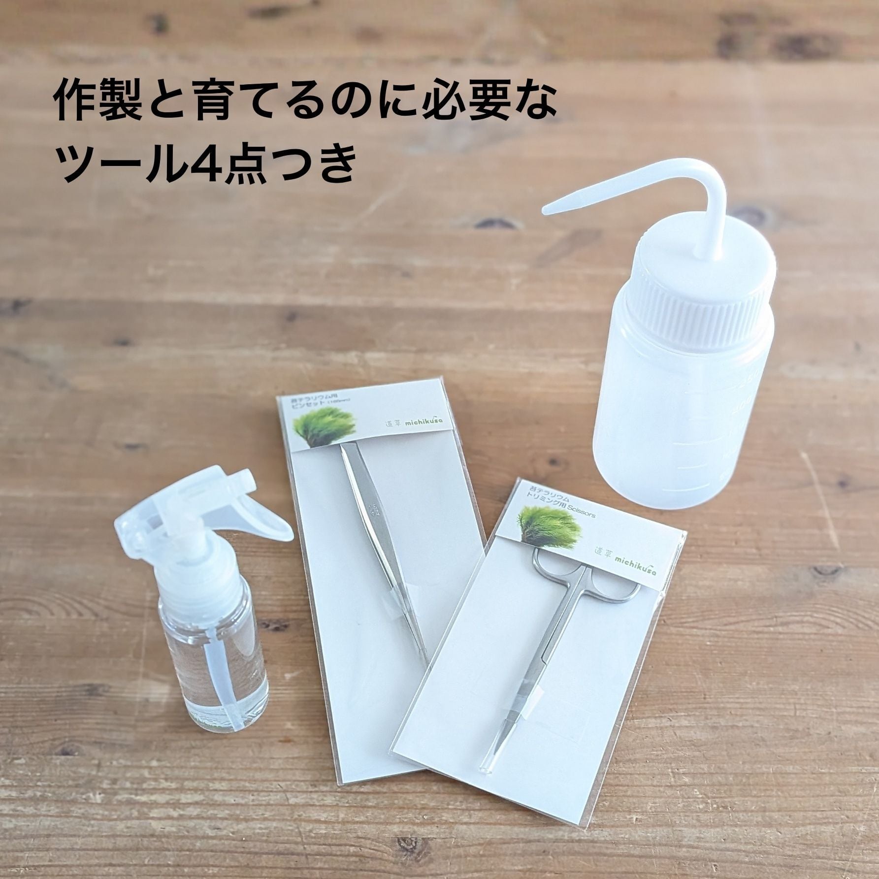 趣味の園芸7月号 掲載記念】景色をつくる苔テラリウムキット（BOX
