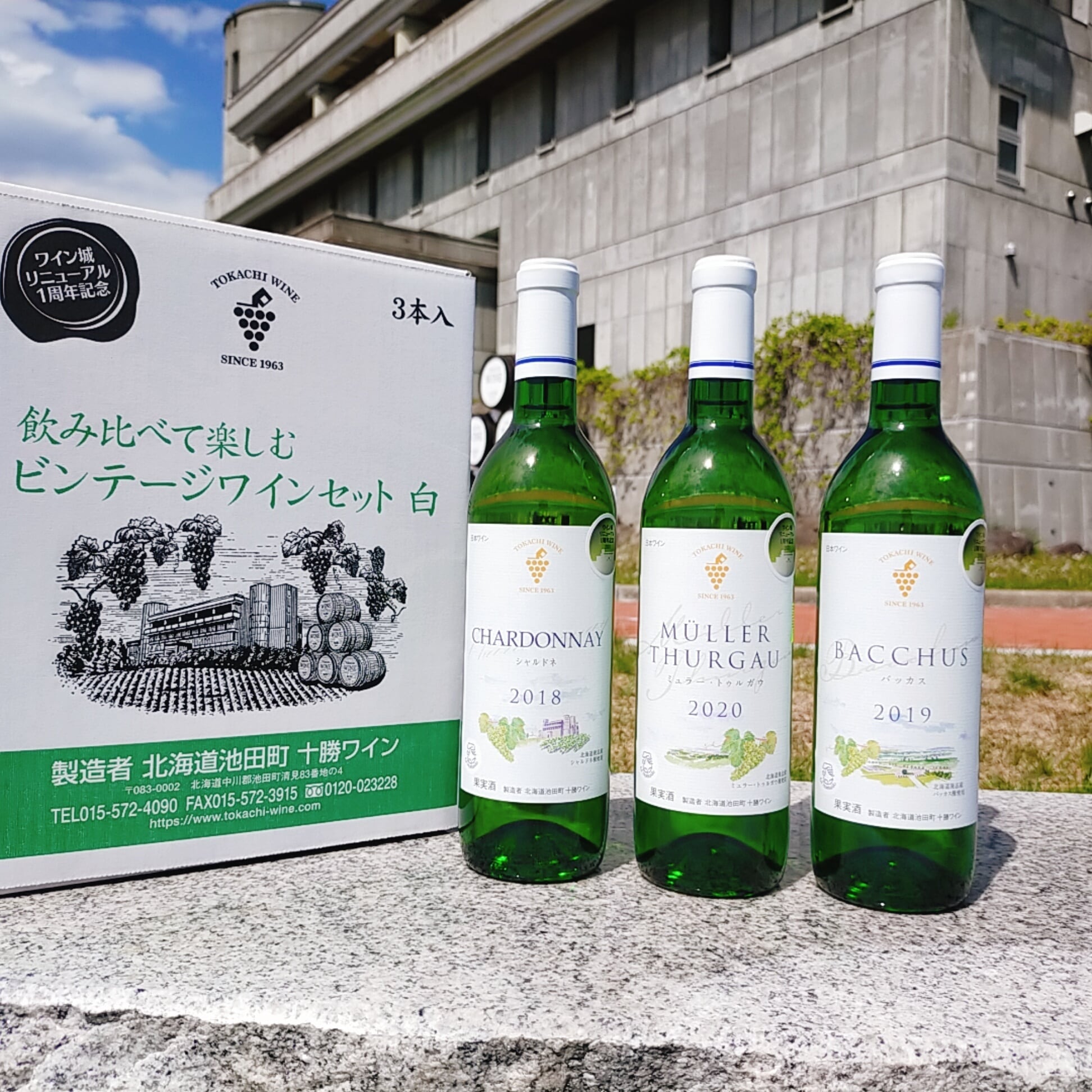 古酒セット 2本 シャンパン 白ワイン