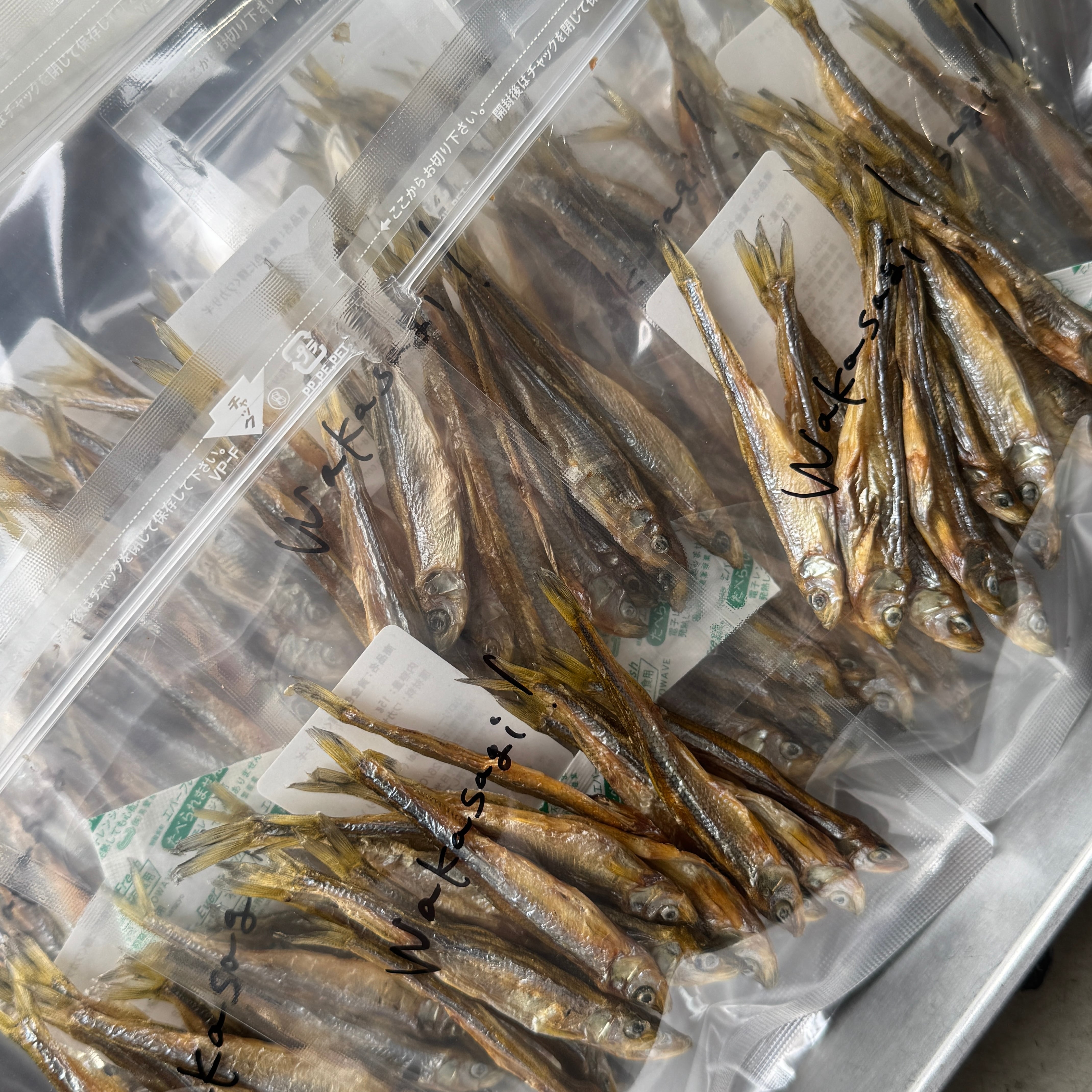 黄金色に輝くワカサギ