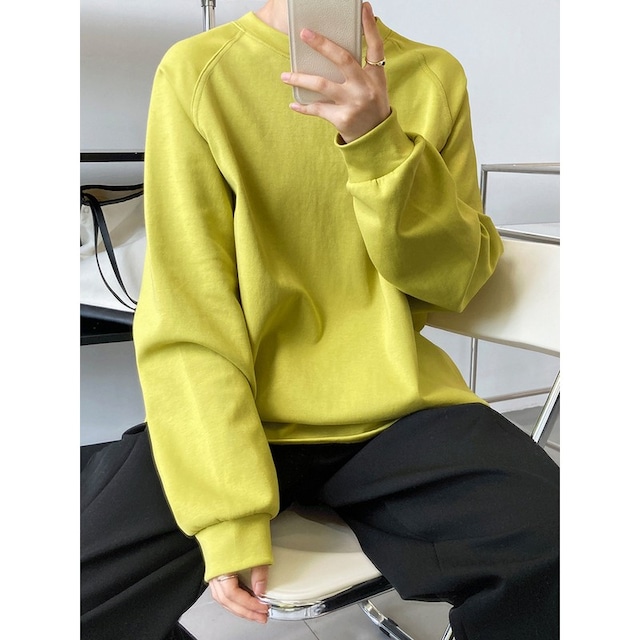 raglan sleeve long T-shirt　101763