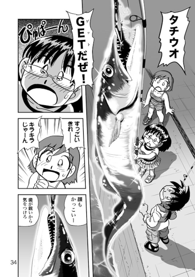 Mr.釣りどれん海 2冊セット | ホームセンターてんこの通販