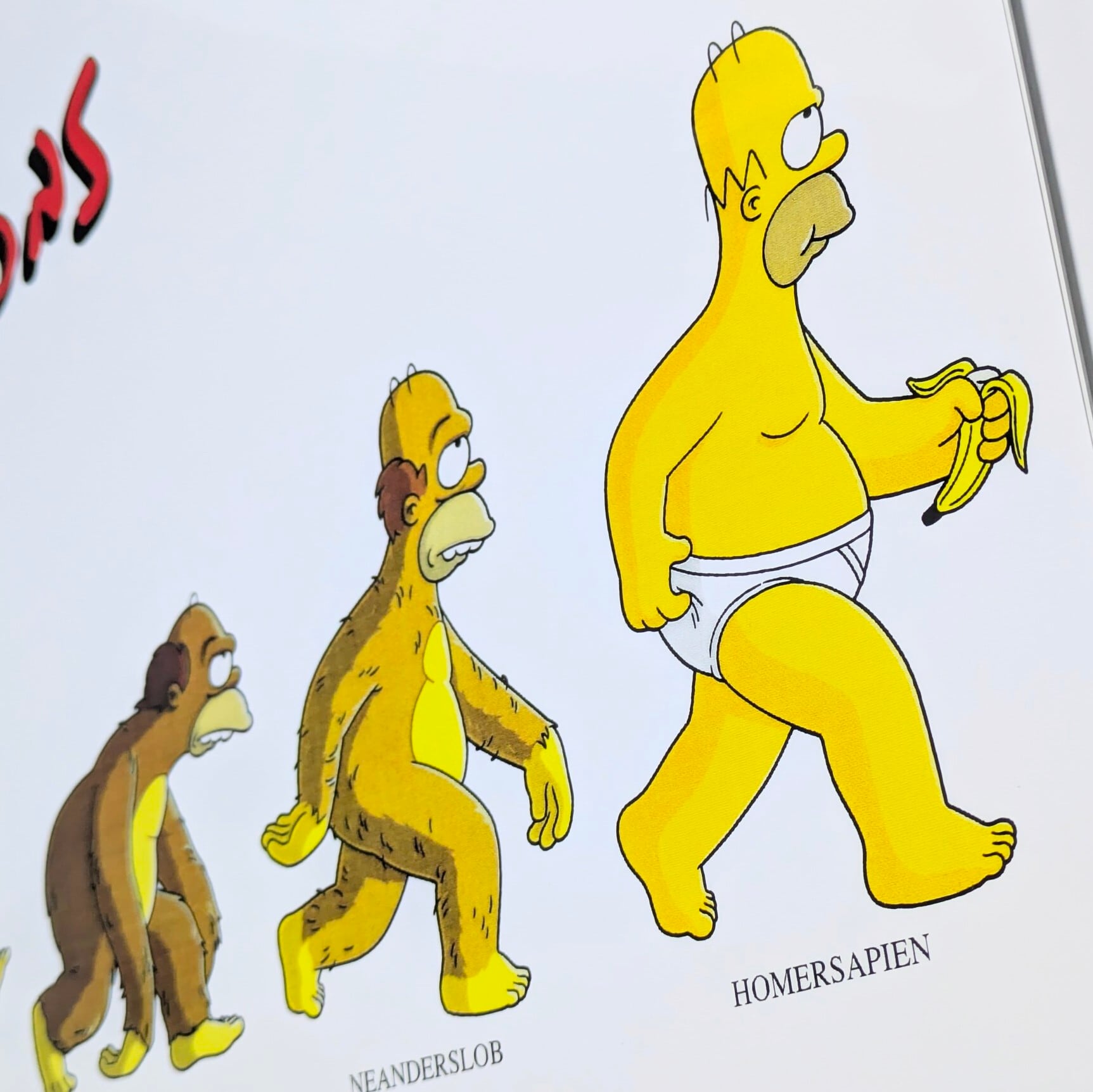 ♫ ちょうどいいB4ポスター ♫【 The Simpsons ( シンプソンズ ) 】『 HOMERSAPIEN 』ホーマー・シンプソン〚アメリカン雑貨 アメトイ〛