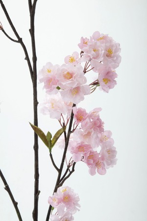 サクラブランチ　　FS-7883P　4961823690211　造花（アーティフィシャルフラワー） > シーズン造花