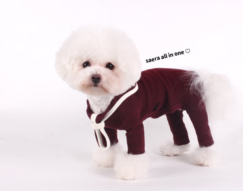 saera onepiece S ~ XL  /  犬の服 秋冬 新作  ストレッチ ドレス ドッグウェア 可愛い 犬服 長袖 ワンピース セーラー服 お揃い