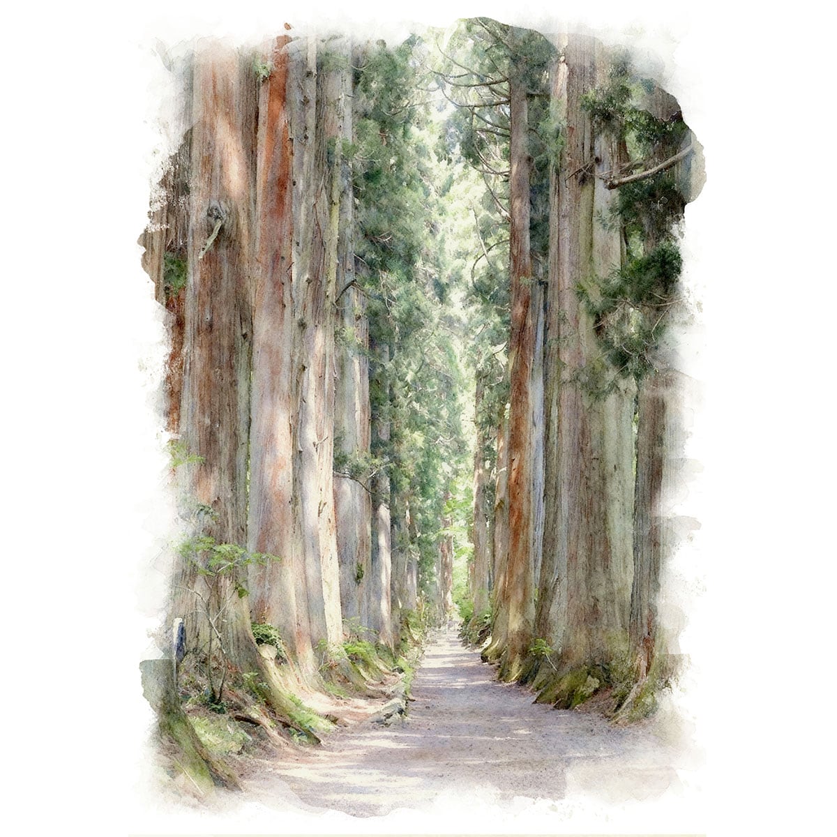 絵画 日本 長野県 戸隠神社 奥社参道の杉並木 風景画 インテリアアート額付き 水彩画・油絵風 WAT0122