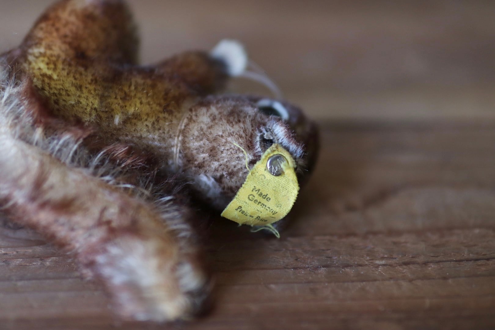 シュタイフ ぬいぐるみ リス Perri ヴィンテージ