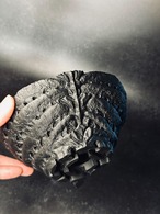 The DarkVessel(浅型タイプ)sizeS