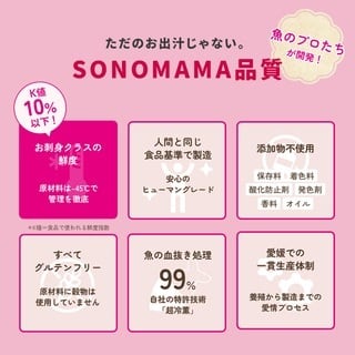 そのまんま　真鯛だし