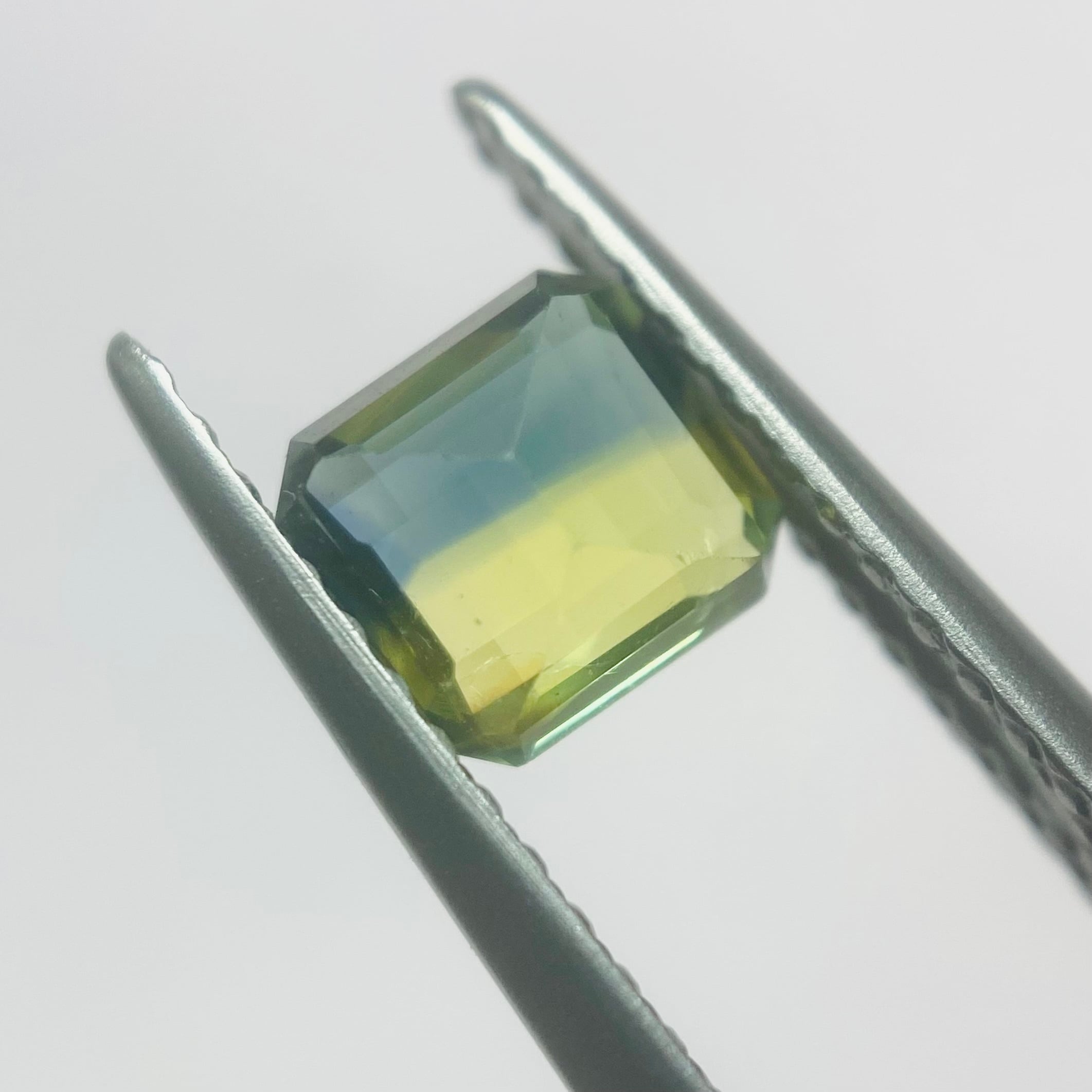 幸せの小鳥　バイカラーサファイア