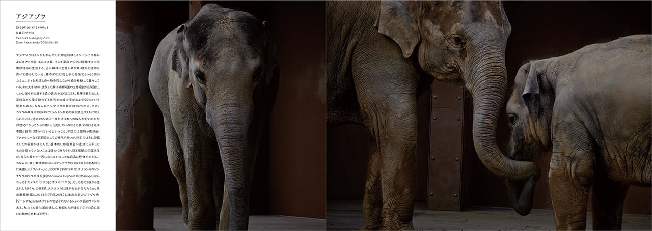 東山絶滅動物園［サイン入り］ | LUCKIIS Press