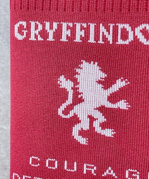 F251061_Harry Potter×Flapper 4寮エンブレムニットスマホショルダー