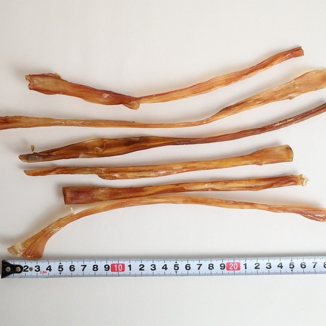 馬のアキレスロング70g