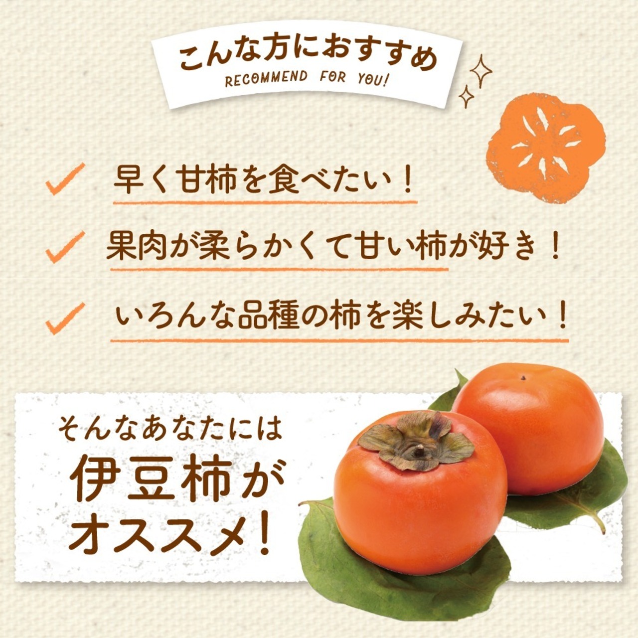 【予約・10月下旬～11月発送】【2026年産】伊豆柿 L 24玉（5ｋｇ）