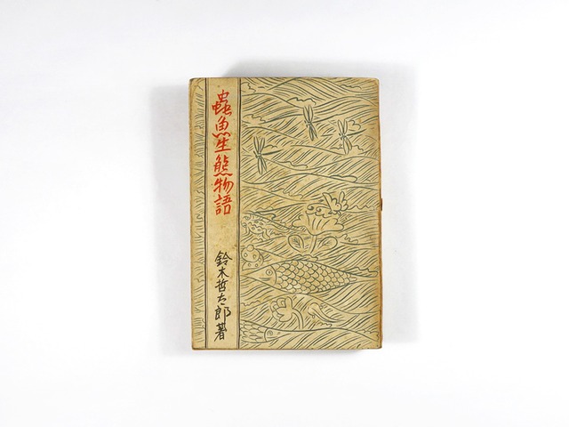 蟲魚生態物語(鈴木哲太郎 著)