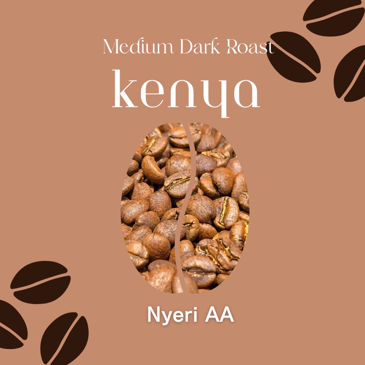 【ケニア】 Nyeri AA Washed｜Medium Dark Roast-100g