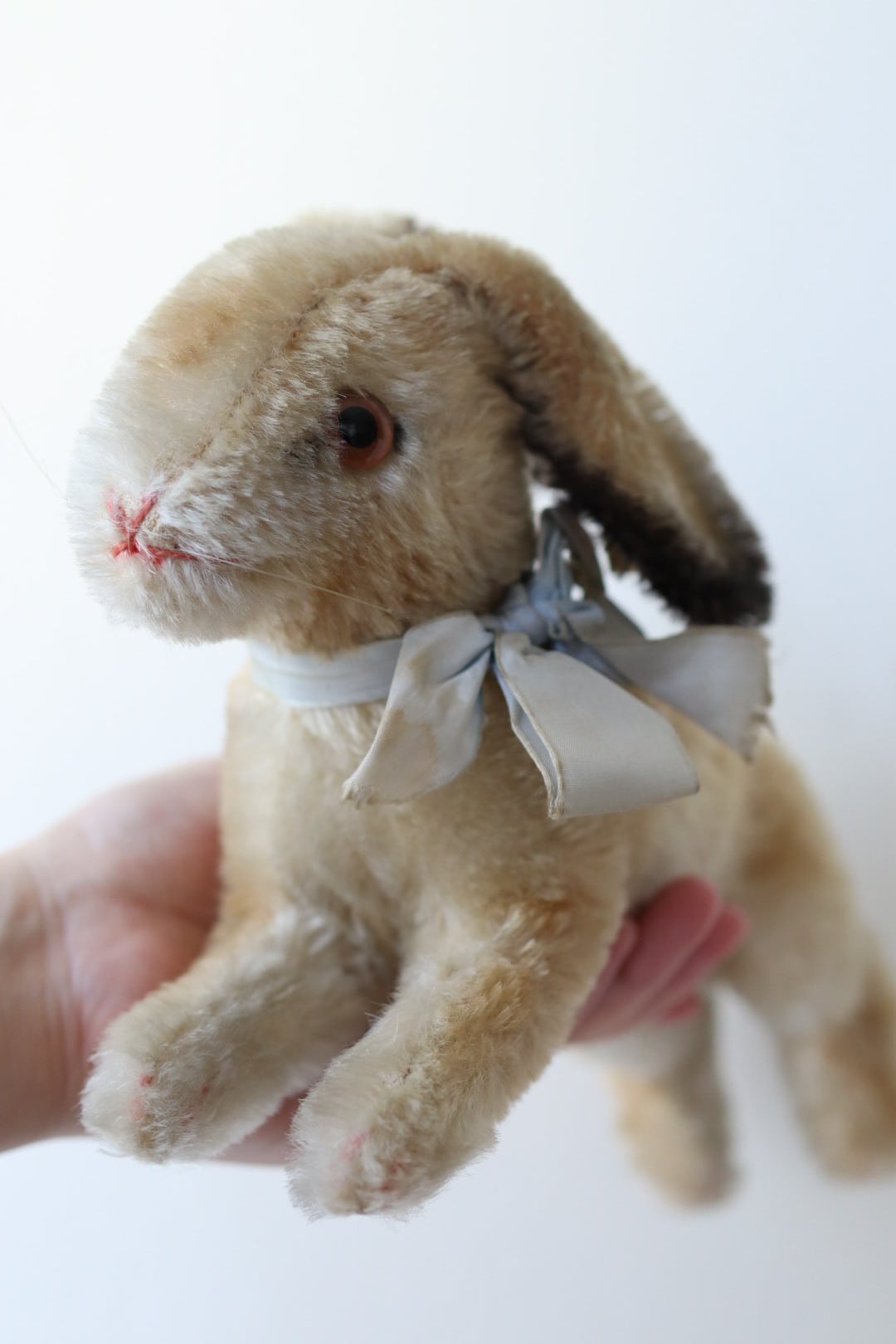 シュタイフ ぬいぐるみ うさぎ Hoppy14㎝ ヴィンテージ