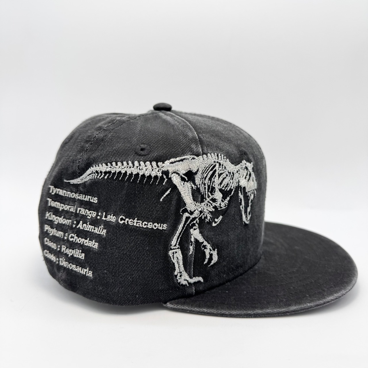 【キッズ】NEW ERA 9FIFTY/950 CLD DINSR SKELET CHILD