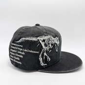 【キッズ】NEW ERA 9FIFTY/950 CLD DINSR SKELET CHILD