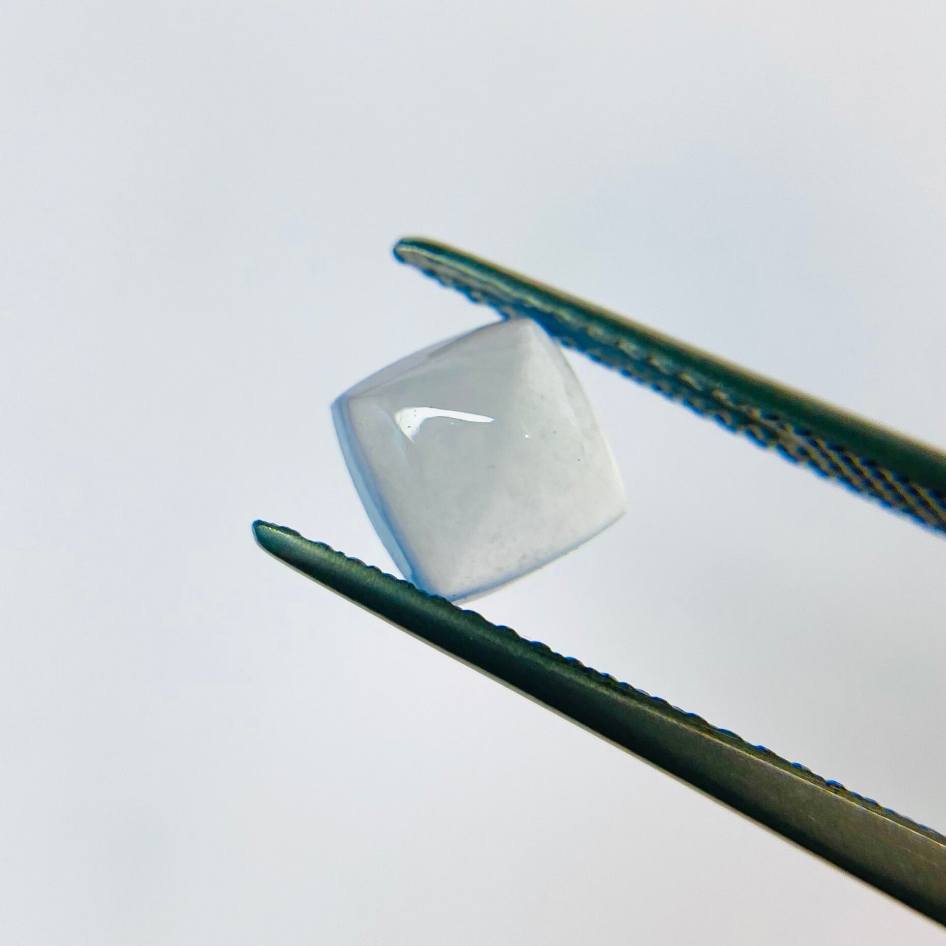 初売! シュガーローフ3色セット