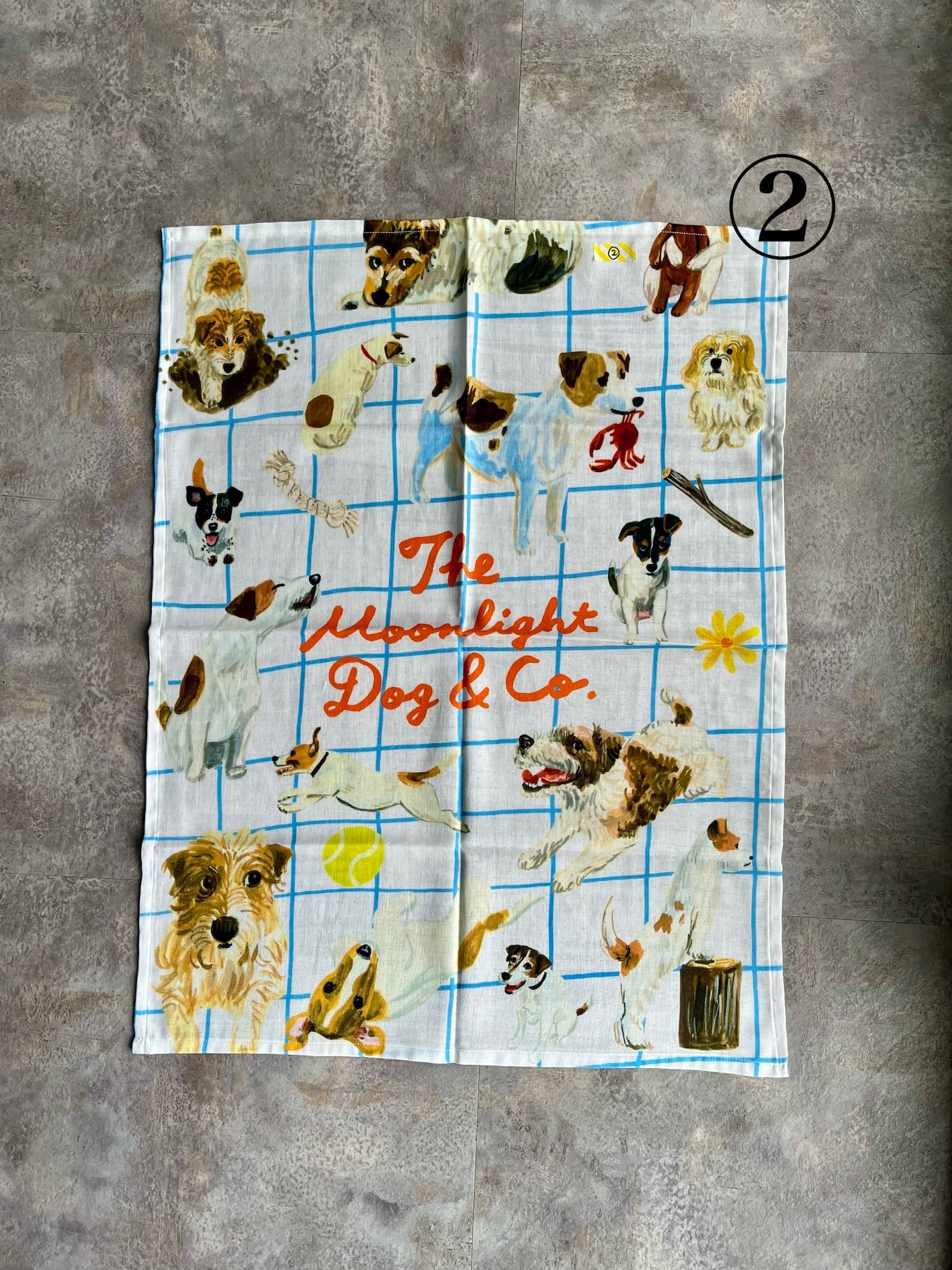 15 JACK RUSSELLS ガーゼブランケット(B品:柄が一部切れているため)