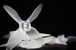 AVAN 2*2.4*4 prop 6L6R