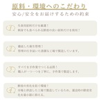 【 カナダ産 】干しうば貝（大サイズ）